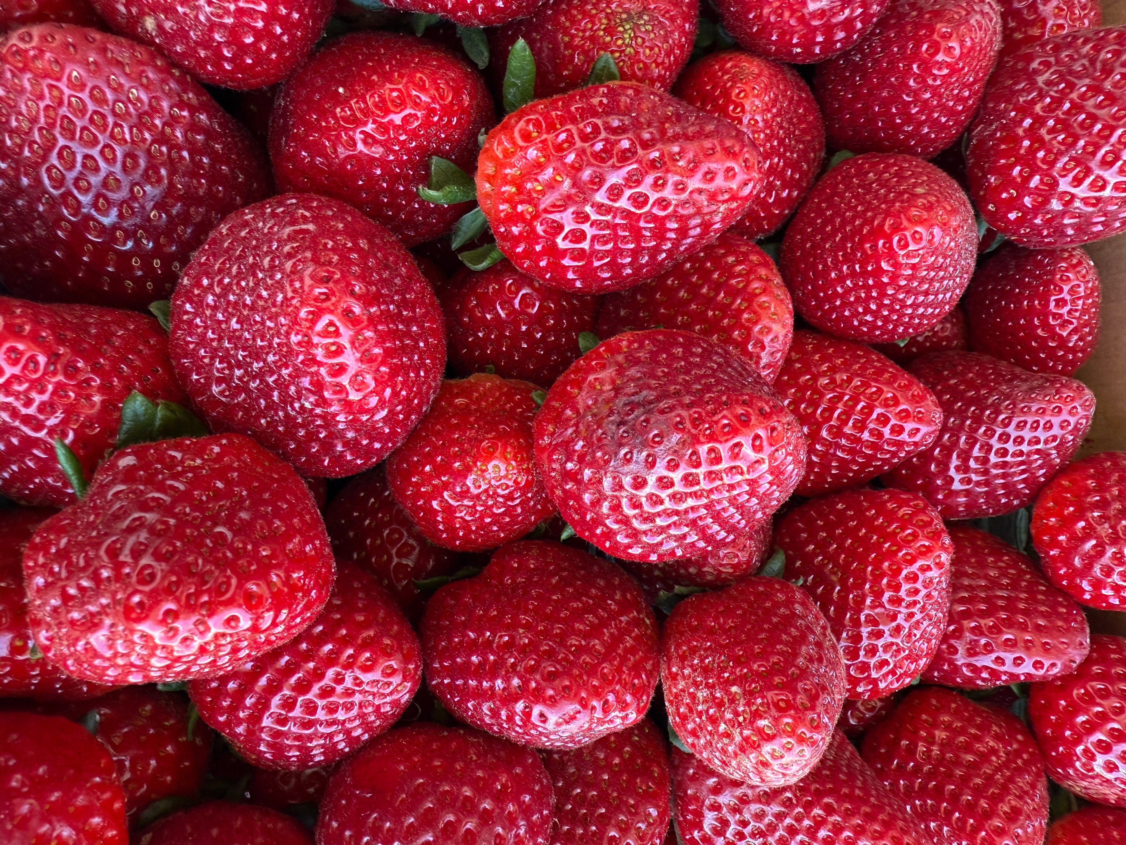 Forrest Fruit local sweet fresh strawberries.