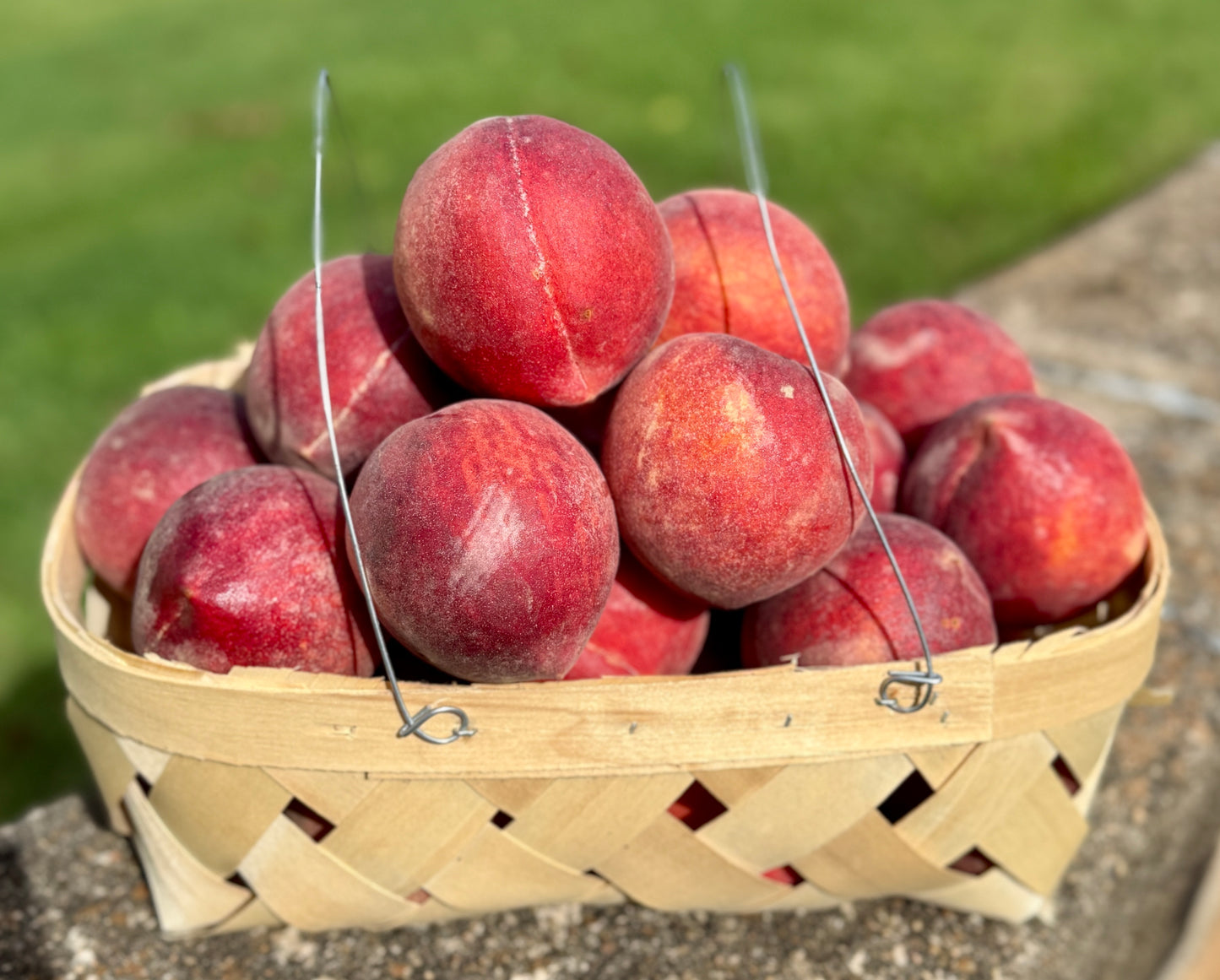 Peck of peaches in a tan woven basket