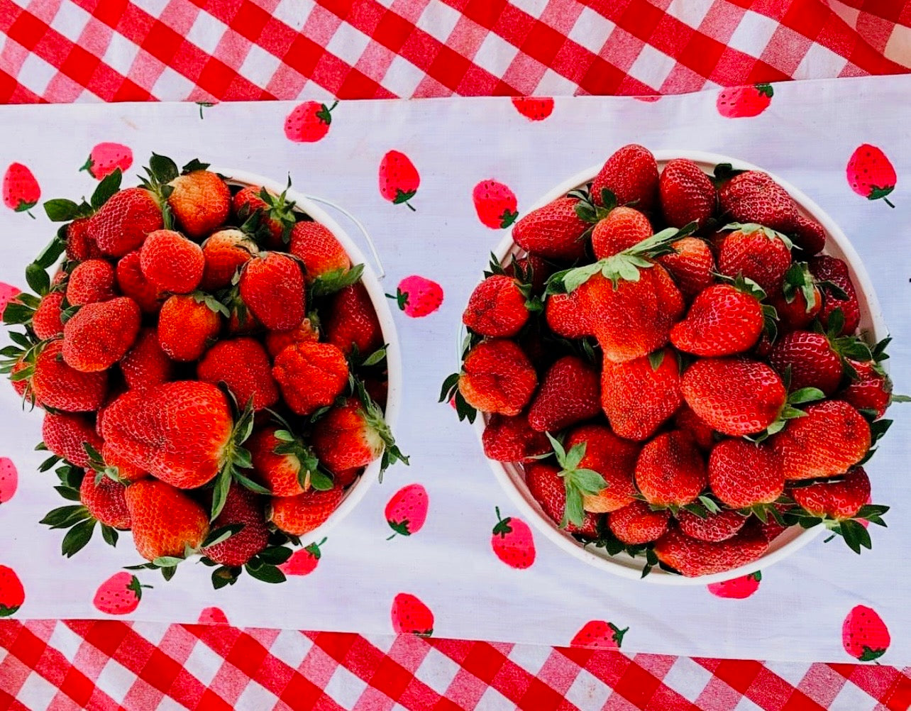 Visit our strawberry stand!